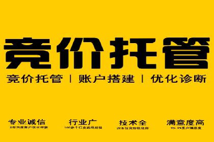 SEM广告投放的创意表现力优秀案例